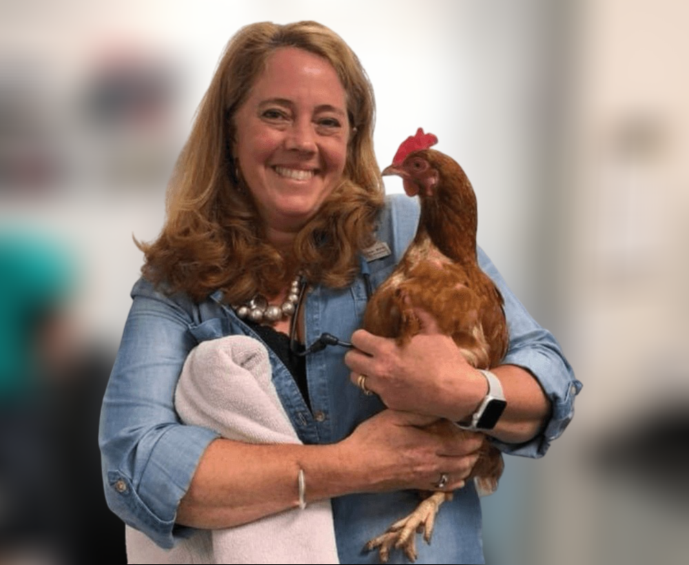 woman with chicken<br />
